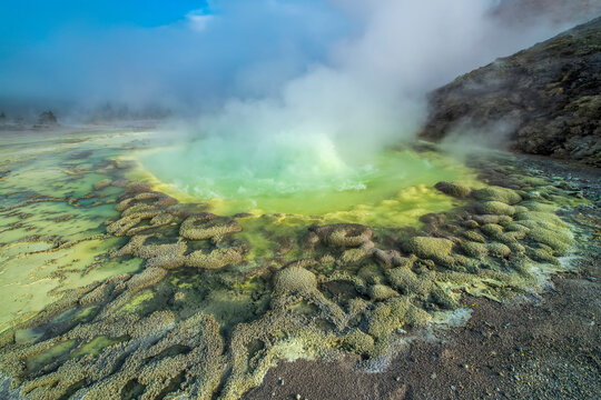 Crater Hills Geyser or Sulphur Springs erupting with steam, YNP, Wyoming, USA