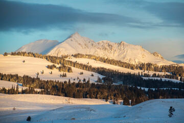 Morning light over snow covered Electric Peak of the Gallatin Range at Swan Lake Flats in winter; Yellowstone National Park, Wyoming, United States of America