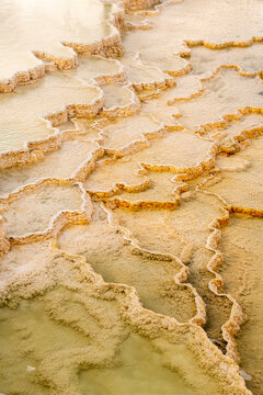 Thermal runoff channels with terraced mineral deposits formations at Mound Terrace in Mammoth Hot Springs; Yellowstone National Park, United States of America