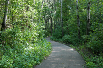 Obraz premium trail winding through marthaler park forest in west saint paul minnesota
