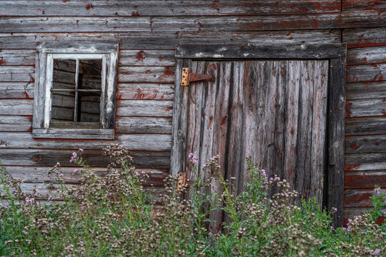 Weathered facade of an old barn with door and window; Prince Albert, Saskatchewan, Canada