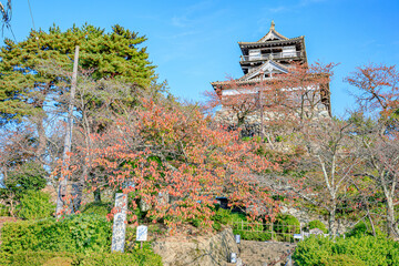 秋の丸岡城　福井県坂井市　Maruoka Castle in autumn. Fukui Prefecture, Sakai City.