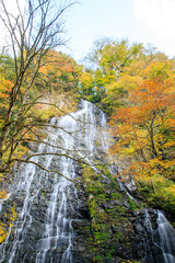 秋の龍双ヶ滝　福井県今立郡　Ryusogataki waterfall in autumn. Fukui Prefecture,...