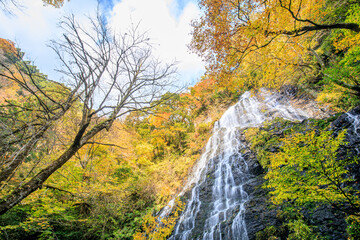秋の龍双ヶ滝　福井県今立郡　Ryusogataki waterfall in autumn. Fukui Prefecture, Imadate-gun.