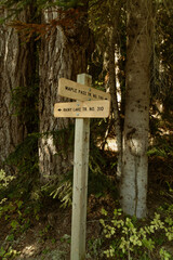 Vertical photo of sign post marker for Maple Pass Trail number 740 and junction of Rainy Lake Trail Number 310 in the North Cascades National Park and forest.