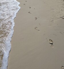 Footprints on the sand and sea foam