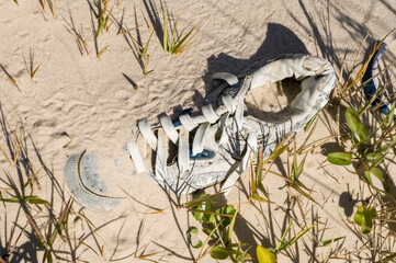 Running shoe covered in white sand on a beach; Gulf Shores, Alabama, United States of America