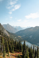 Vertical Photo of lush high mountain altitude massive conifer trees off trail with alpine lake below in the North Cascades National Park in Northern Washington State United States of America. © ArboursAbroad.com