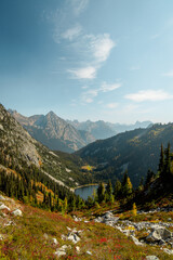 Fototapeta na wymiar Vertical wide Photo of lush high mountain altitude massive conifer trees off trail with alpine lake below in the North Cascades National Park in Northern Washington State United States of America.