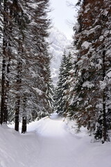 zima, Tatry, szlaki, góry, śnieg, zagrożenie lawinowe, 