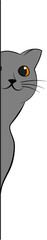 Cat Peeking Vector Illustration
