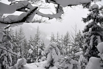 zima, Tatry, szlaki, góry, śnieg, zagrożenie lawinowe,  - obrazy, fototapety, plakaty