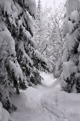zima, Tatry, szlaki, góry, śnieg, zagrożenie lawinowe, 