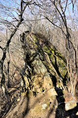丹沢の経ヶ岳　仏果山～経ヶ岳縦走コースの登山道　経石
