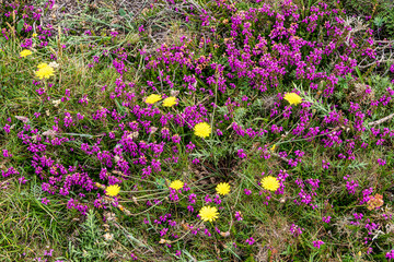 The cape of Tourinan in Muxia, Costa da Morte, Death Coast, Galicia, Spain.