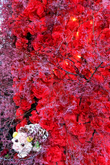 Festive red carnations, lights and branches