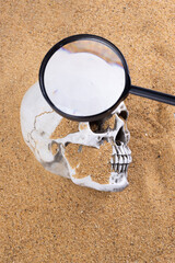Detective Collecting looking Evidence cause of dead in a Crime Scene. White Bone Skull found under...
