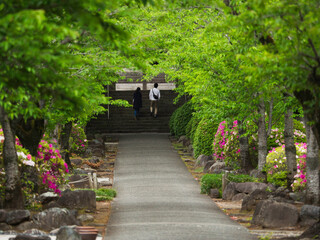カラフルな参道