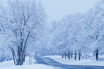 Snow covered forests, land and lakes in a brutal winter	