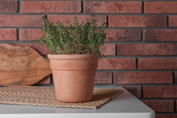 Aromatic green potted thyme on white table near brick wall, space for text