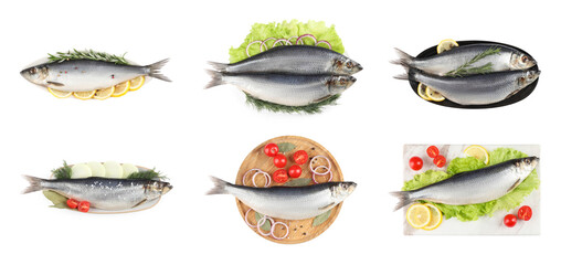Set with tasty salted herrings on white background, top view. Banner design