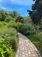 stone path in city park in summer