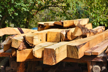 Tree stumps cut in heaps with greenery in the background .stack of logs for lumber industry background.
