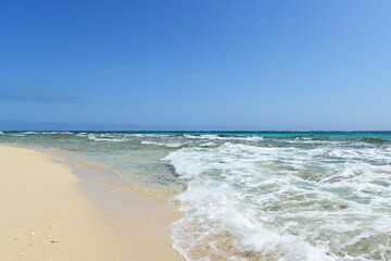 沖縄の綺麗な海