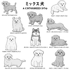 かわいい人気のミックス犬　手描き線画ベクターイラストセット