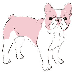 シンプルでかわいいフレンチブルドッグ　手描き線画ベクターイラスト