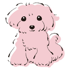 シンプルでかわいいトイプードル　手描き線画ベクターイラスト