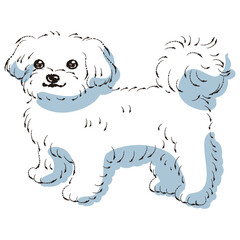 シンプルでかわいいマルチーズ　手描き線画ベクターイラスト