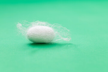 Silkworm cocoon on green background