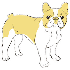シンプルでかわいいフレンチブルドッグ　手描き線画ベクターイラスト