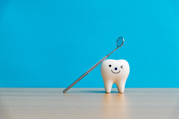 Tooth model and dentist mirror on table