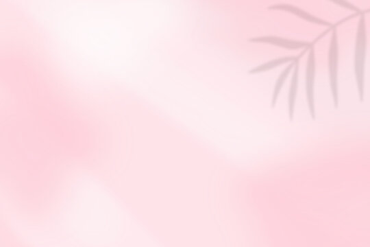 Blurred pink background. Pink background with leaf.