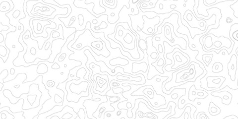 Topographic map background. Grid map. Vector topographic map background. Business concept. Abstract vector illustration