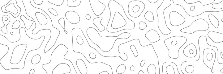 Abstract design with black and white abstract background . Topography map concept. 3d rendering . Creative and similar design with white and black tone paper cut wave curve with blank space design