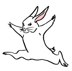 踊る白ウサギ