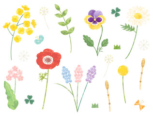 Fototapeta na wymiar 菜の花やパンジー・アネモネなどのの春の花のイラストのセット