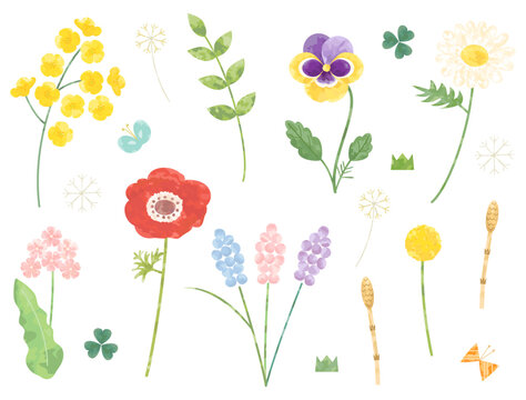 菜の花やパンジー・アネモネなどのの春の花のイラストのセット