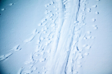Cycle tracks on frozen creek in winter