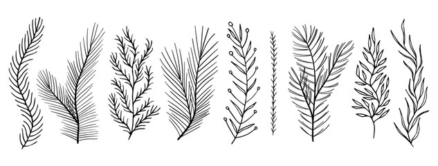 Set collection laurels plants leaves hand made, hand drawn vector.