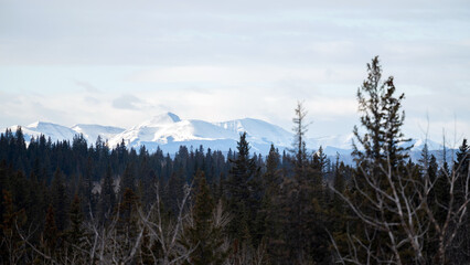 View of mountains from Fish Creek Park, Calgary