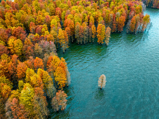 Fototapeta na wymiar autumn colors in the park