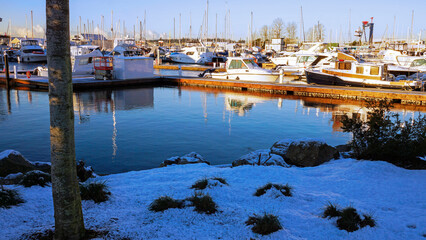 Wintering watercraft reflected in placid waters of marina with snowy embankment in foreground.