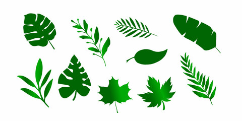 Leaves icon. Green tropical forest leaf icon set. Stock vector.