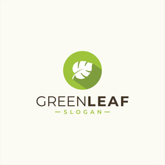 green leaf icons design template vector