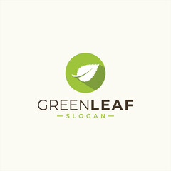 green leaf icons design template vector
