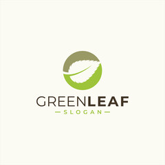 green leaf icons design template vector